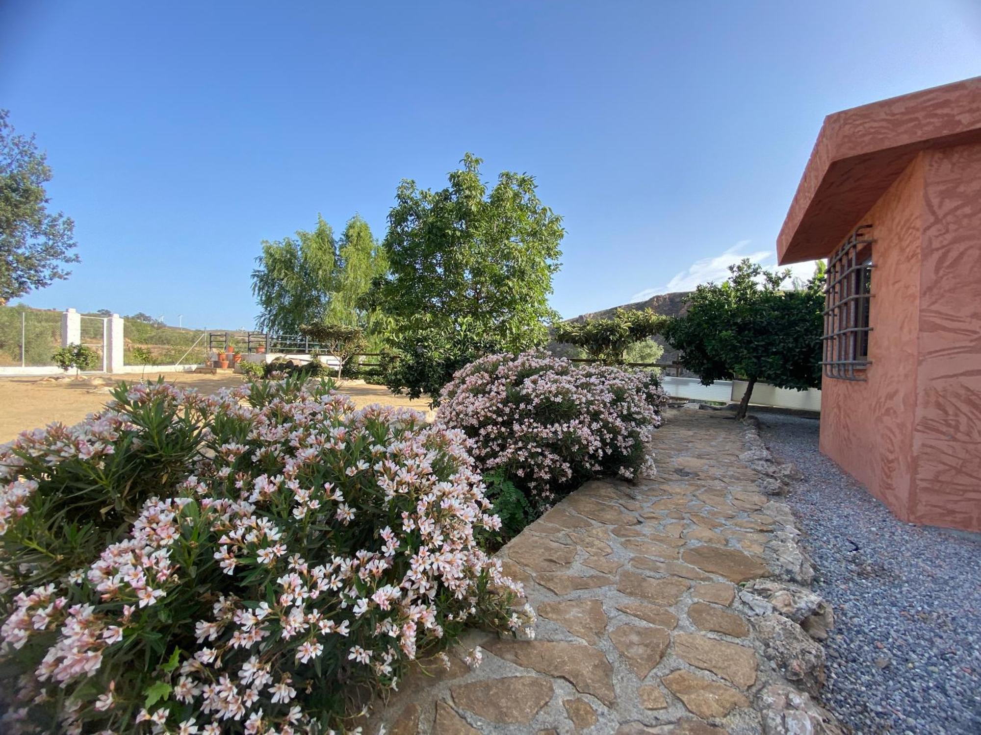 Villa Elisabeth Granada Eksteriør billede